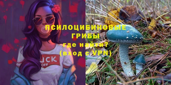 прущий лед Вязьма