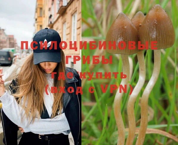 прущий лед Вязьма