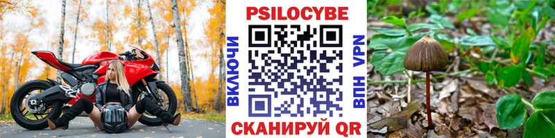 Галлюциногенные грибы прущие грибы  Великий Устюг 