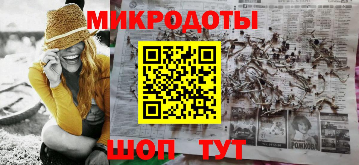 Галлюциногенные грибы Psilocybine cubensis Великий Устюг