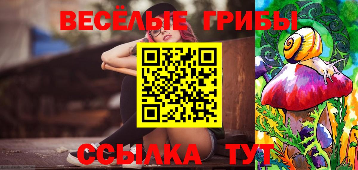 магазин продажи наркотиков  Вход с VPN  Великий Устюг  Псилоцибиновые грибы Magic Shrooms 