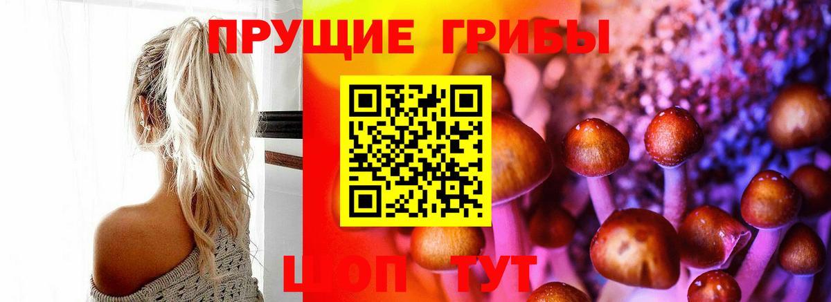 Псилоцибиновые грибы ЛСД  Великий Устюг 