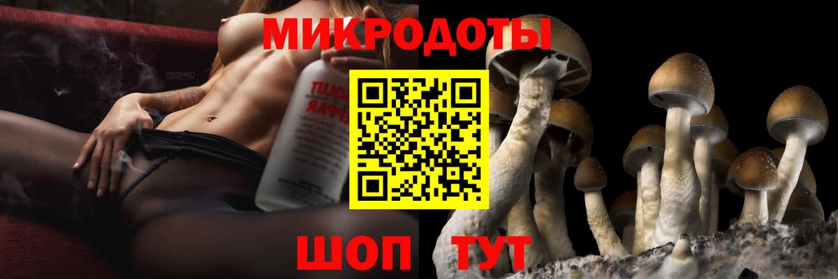 Галлюциногенные грибы GOLDEN TEACHER Великий Устюг