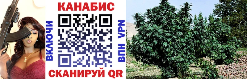 Бошки Шишки VHQ  даркнет сайт  Великий Устюг 